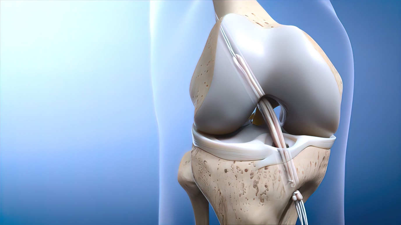 A close-up of a human knee

Description automatically generated